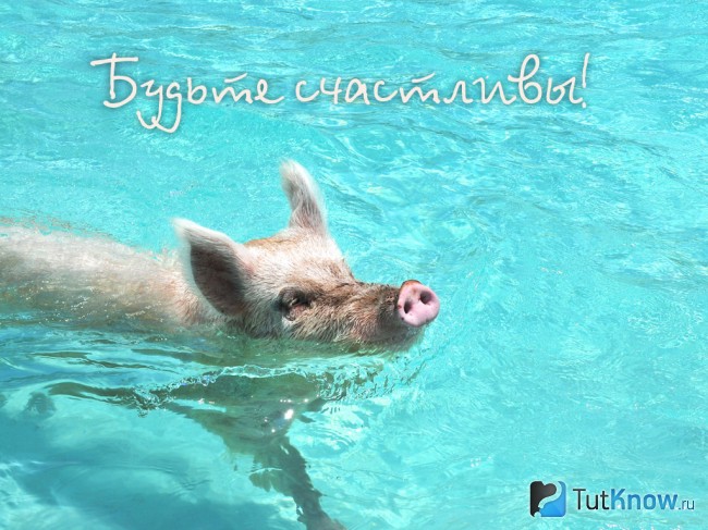 Вот что такое счастье!
