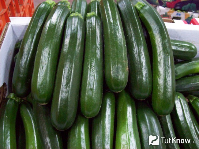 Польза цукини
