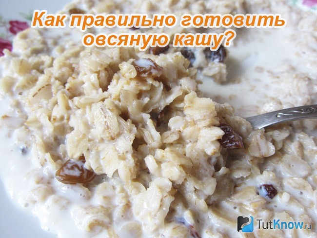 Как готовить овсяную кашу правильно