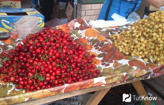 Как правильно выбирать черешню