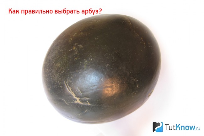 Как правильно выбрать арбуз
