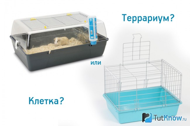 Дом для морской свинки клетка и террариум