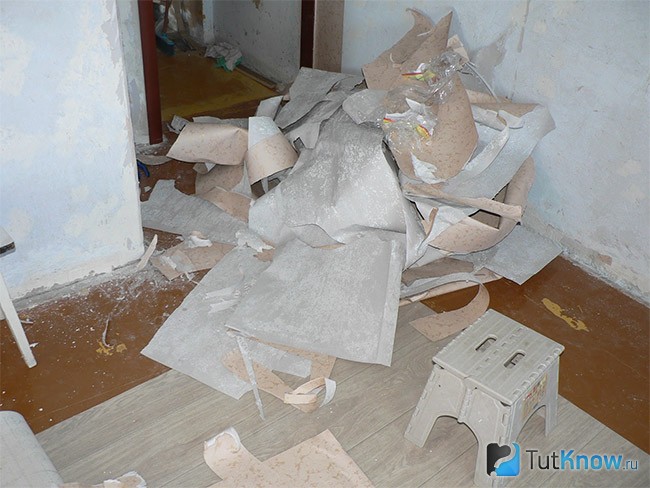 Нужно ли снимать старые обои