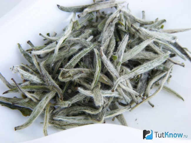 Сорта белого чая - Бай Хао Инь Чжень Baihao Yinzhen