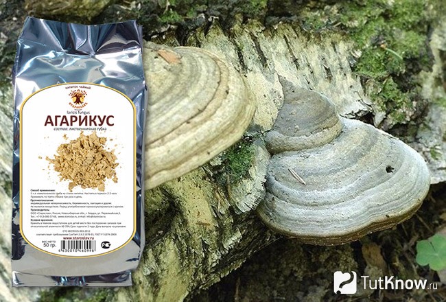 Агарикус для похудения