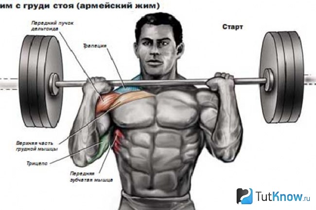 Техника выполнения армейского жима стоя