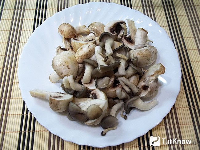 Сырный суп с шампиньонами и вешенками