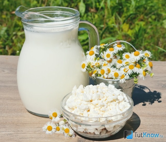 Творог из молока