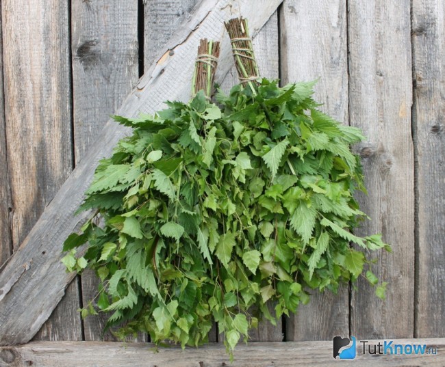 Веник из березы и крапивы