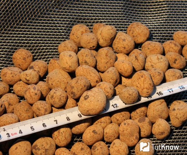Керамзит для утепления бани