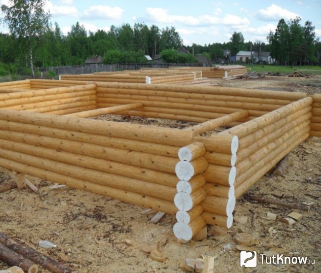 Стены из бревна для бани с гостевым домом