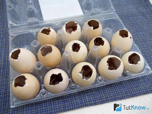 Яичная скорлупа заполнена мясо и бульоном