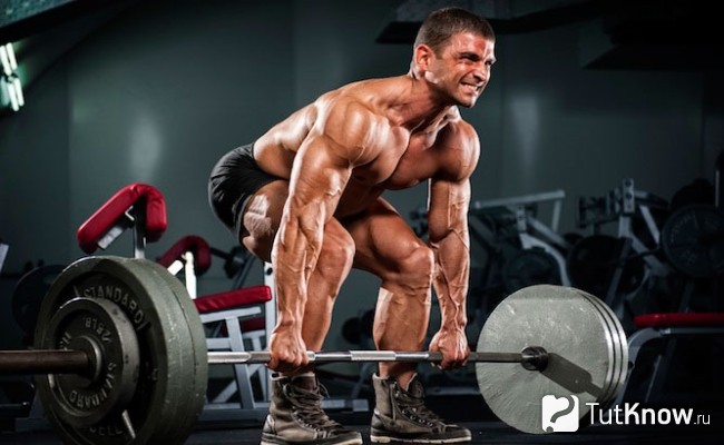 Становая тяга пауэрлифтера