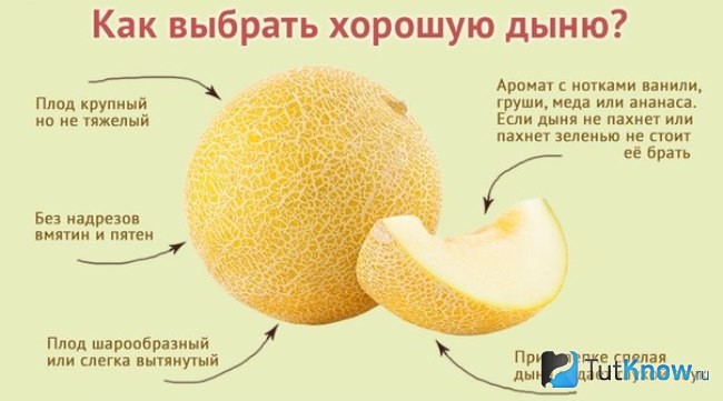 Как выбрать дыню
