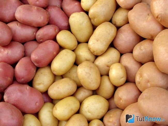 Продажа картофеля