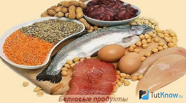 Продукты, в которых содержится белок