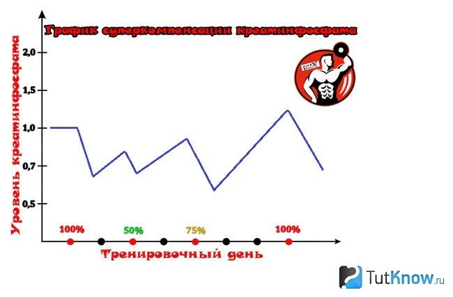 График суперкомпенсации креатинфосфата