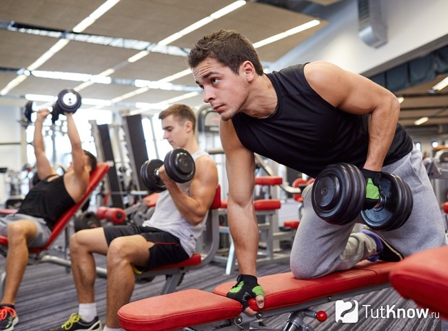 Спортсмены в зале