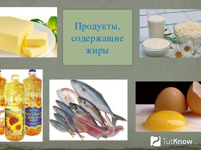 Продукты, которые содержат жиры