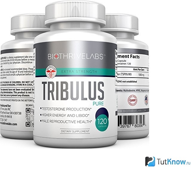 Баночка Tribulus terrestris