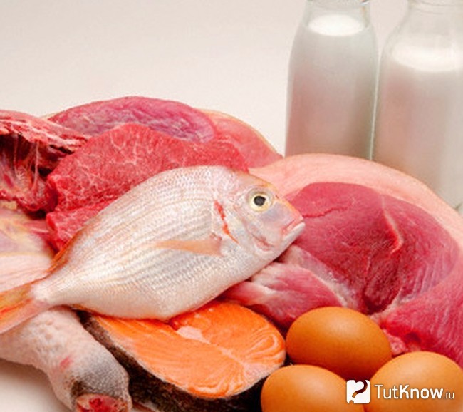 Продукты, содержащие белок