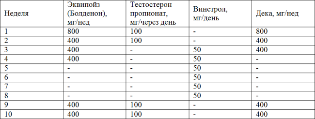 Курс от Кноркопа