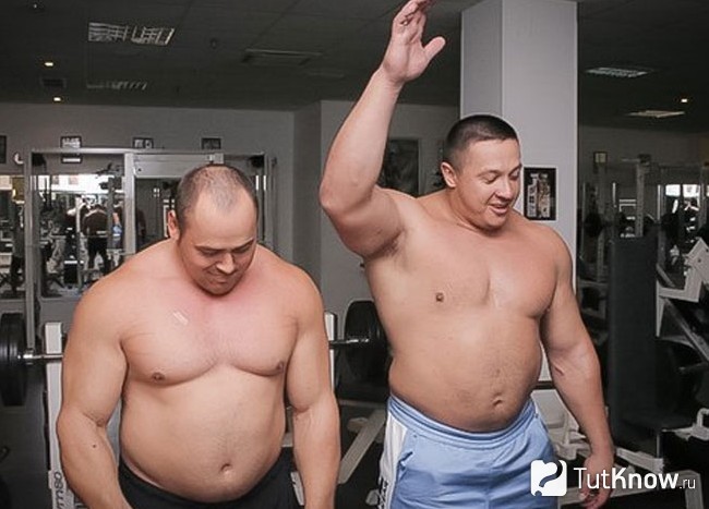 Известные пауэрлифтеры-эндоморфы