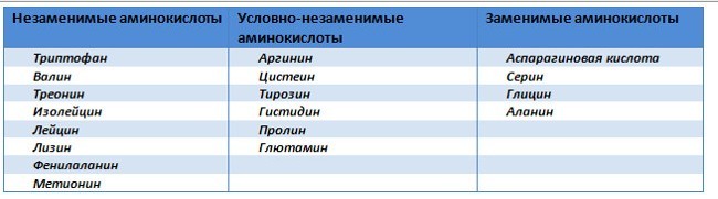 Таблица заменимых и незаменимых аминокислот