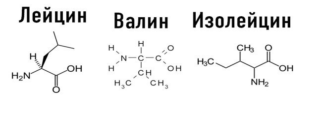 Формулы незаменимых аминокислот