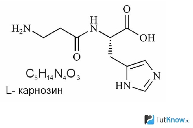 Формула Л-Карнозина