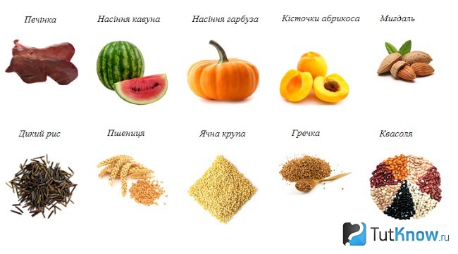 Продукты, в которых содержится витамин В15
