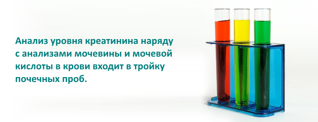 Пояснение необходимости анализа креатинина
