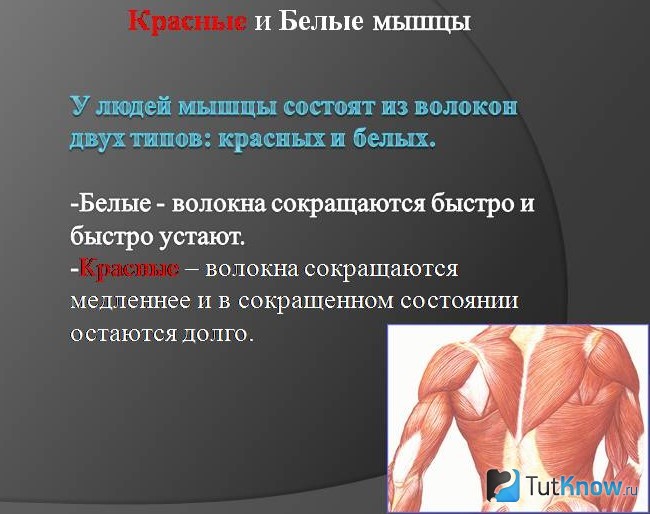 Пояснение о типах волокон