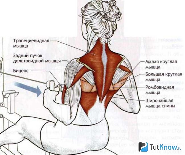 Девушка выполняет тягу нижнего блока к грудной клетке