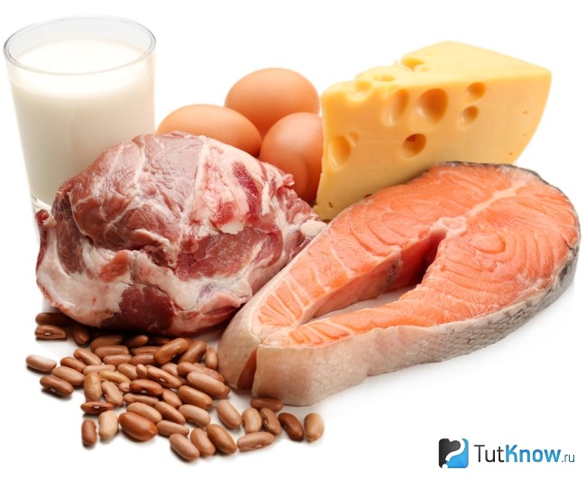 Продукты-источники белка
