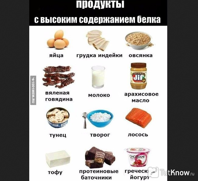 Продукты с высоким содержанием белка