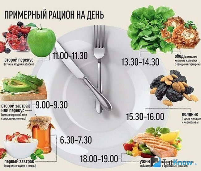 Примерный рацион питания на день