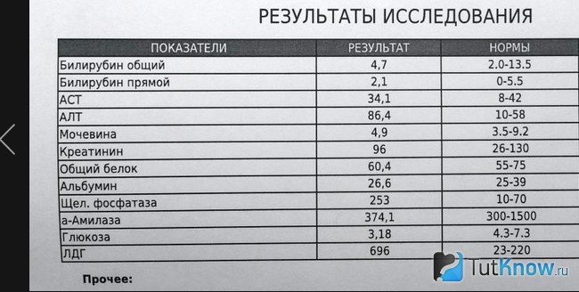Результаты анализа крови