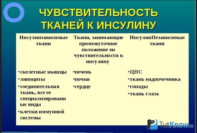 Схема и пояснение чувствительности тканей к инсулину