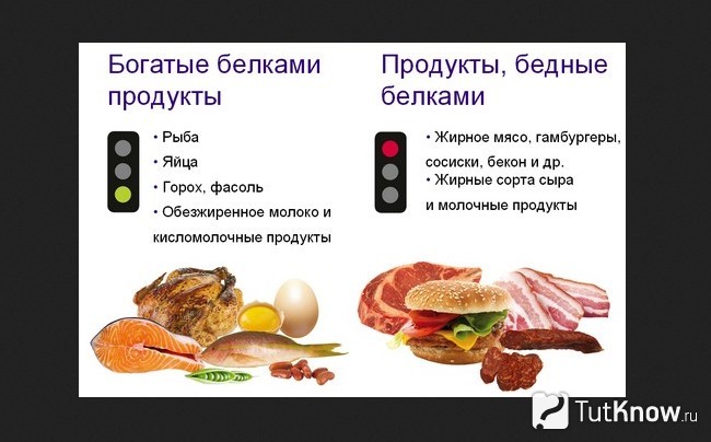Продукты, в которых содержится белок