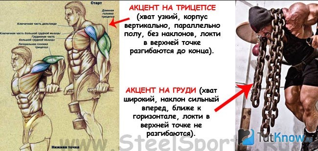 Поснение техники выполнения отжиманий на брусьях с акцентом на трицепс и грудь
