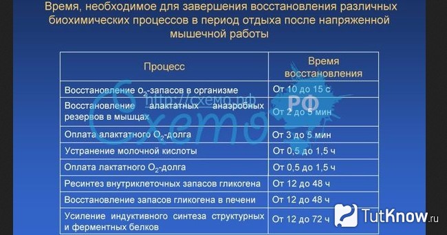 Время восстановлени гликогена и других параметров