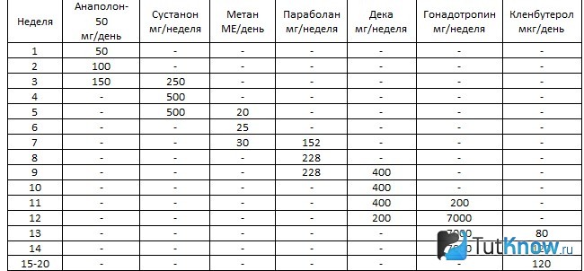 Курс 3