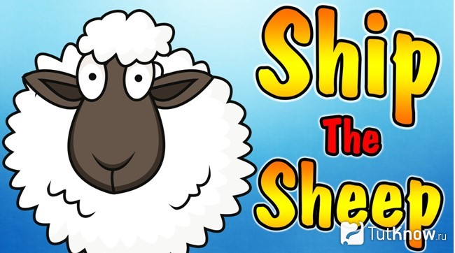 Учебник Ship or Sheep