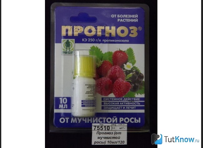 Средство от мучнистой росы Прогноз