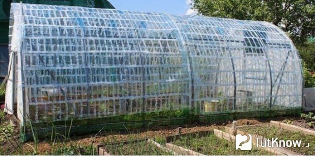 Парник из пластиковых бутылок