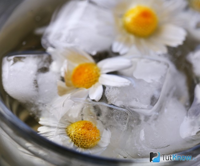 Лед из ромашки для кожи лица