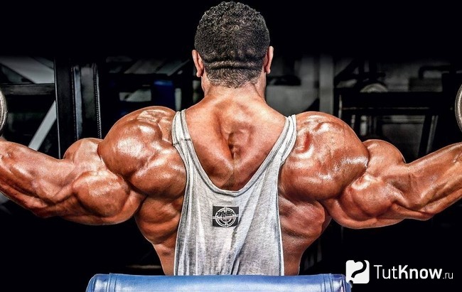 Спортсмен выполняет развод гантелей сидя