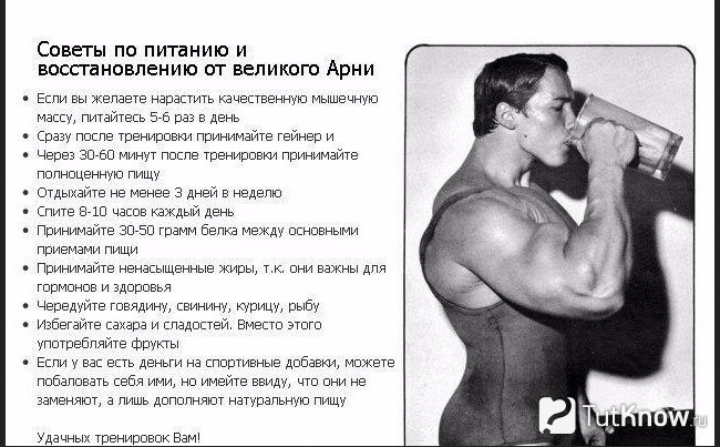 Советы по питанию от Шварцнеггера