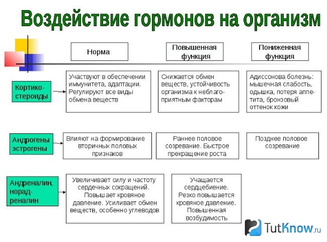 Таблица воздействия гормонов на организм